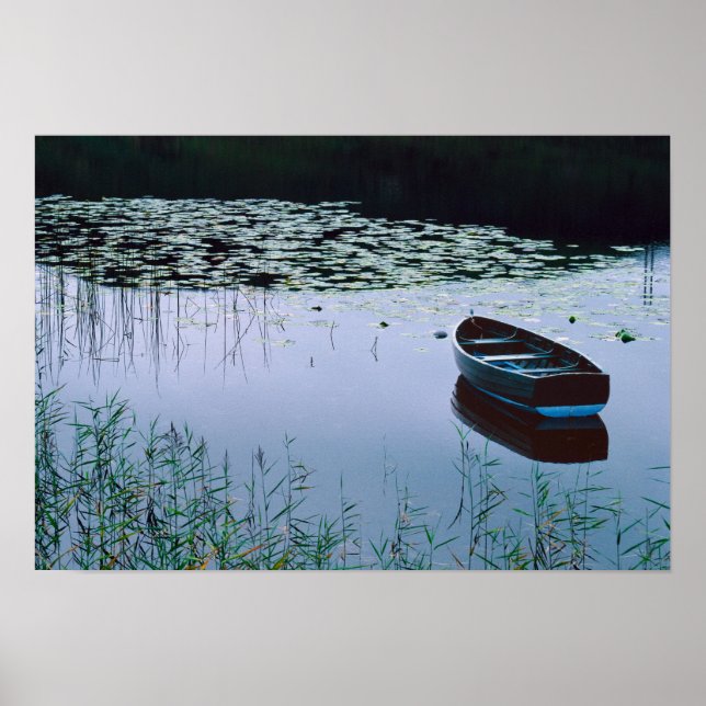 Rowboat auf einem kleinen See umgeben von Wasser Poster (Vorne)