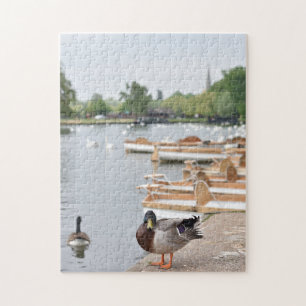 Rowboats and Duck, Stratford Upon Avon, England Puzzle