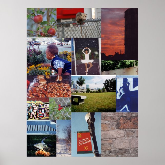 Roxbury, MA Foto-Collage Poster (Vorne)