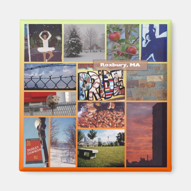 Roxbury, Massachusetts Foto Collage 9958 Magnet (Vorne)
