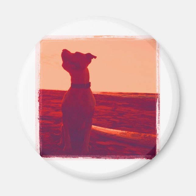 Roxy Foto von Daniela Magnet (Vorne)