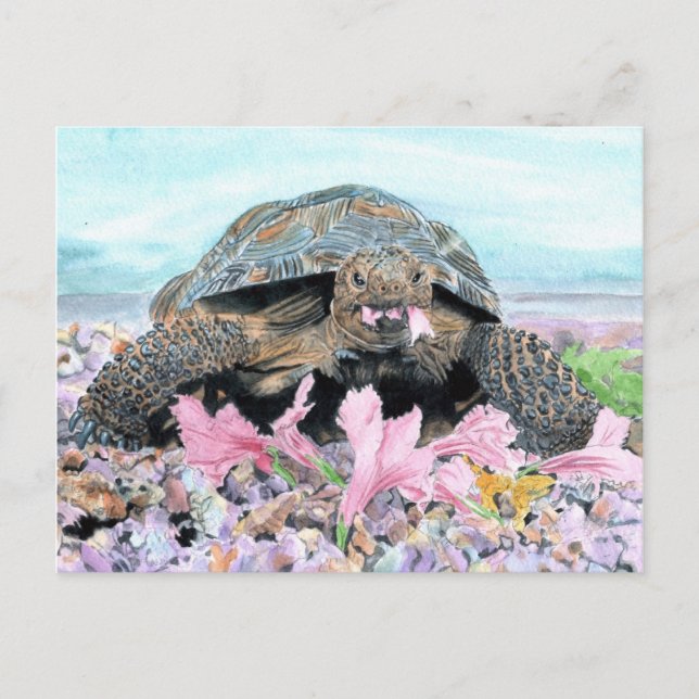 Roxy the Turtle Postcard Postkarte (Vorderseite)