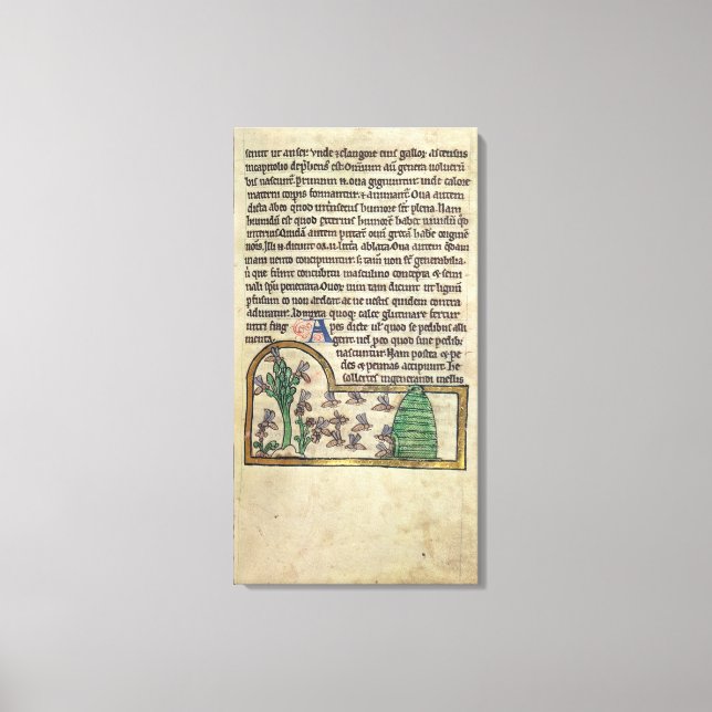 Roy Page of text with Illustration of the Leinwanddruck (Vorderseite)