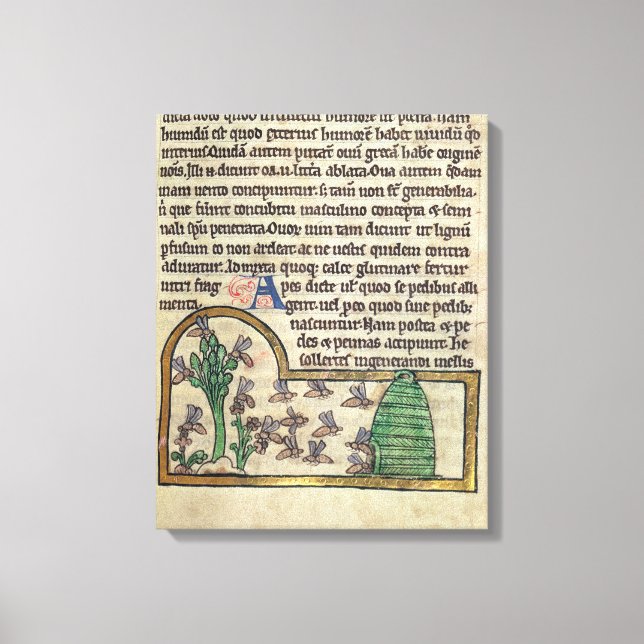 Roy Page of text with Illustration of the Leinwanddruck (Vorderseite)