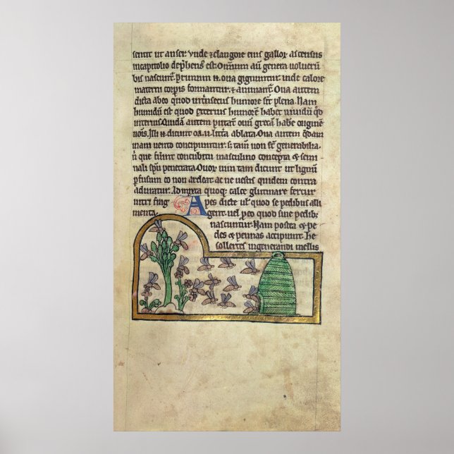 Roy Page of text with Illustration of the Poster (Vorne)