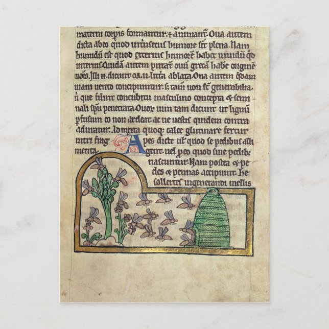 Roy Page of text with Illustration of the Postkarte (Vorderseite)