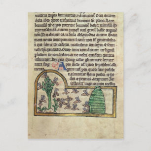 Roy Page of text with Illustration of the Postkarte