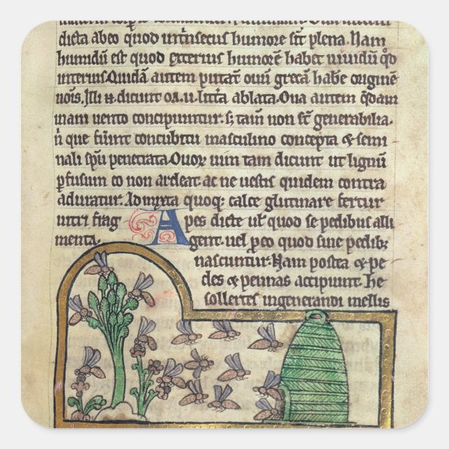 Roy Page of text with Illustration of the Quadratischer Aufkleber (Vorderseite)
