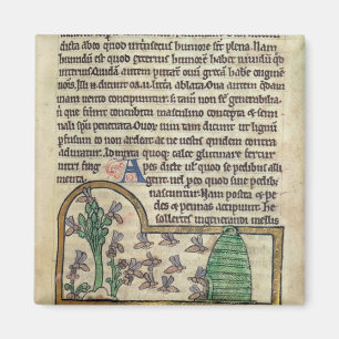 Roy-Seite des Textes mit Illustration von Magnet