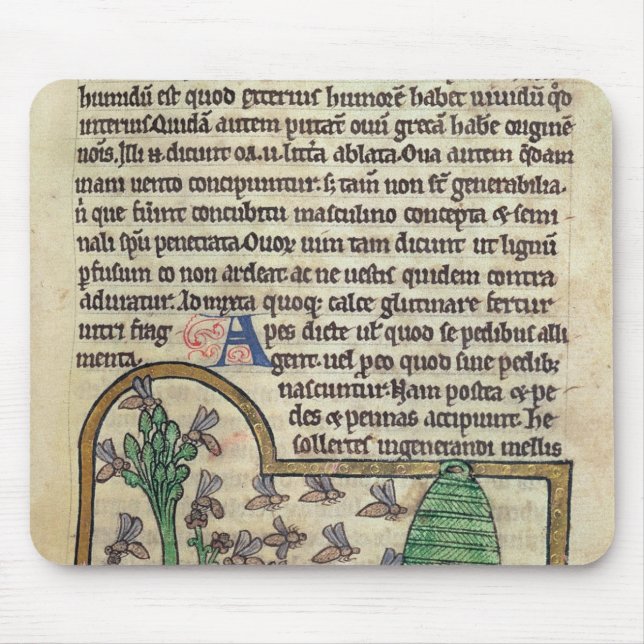 Roy-Seite des Textes mit Illustration von Mousepad (Vorne)