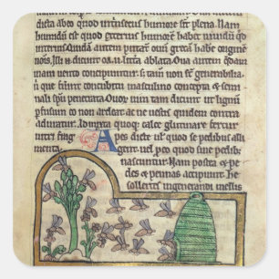 Roy-Seite des Textes mit Illustration von Quadratischer Aufkleber