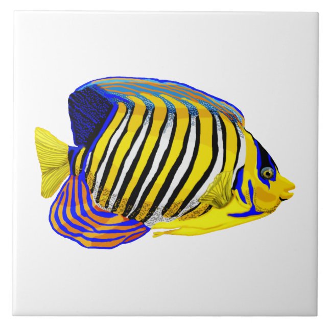 Royal Angelfish Fliese (Vorderseite)