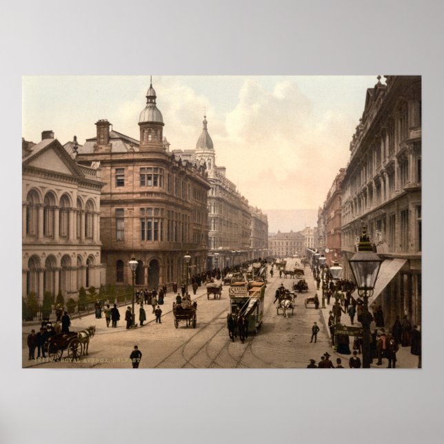 Royal Avenue Belfast Print Poster (Vorne)