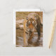 Royal Bengalisch Tiger aus dem Dschungelteich, Postkarte (Vorderseite/Rückseite Beispiel)
