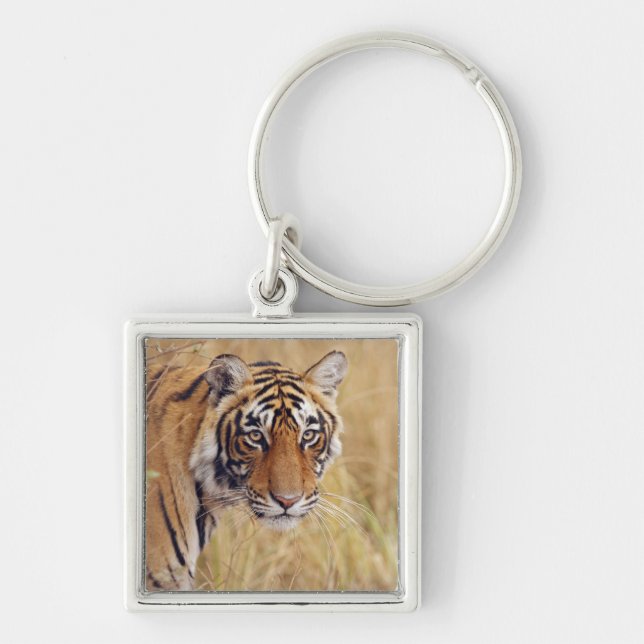 Royal Bengalisch Tiger Schlüsselanhänger (Vorne)