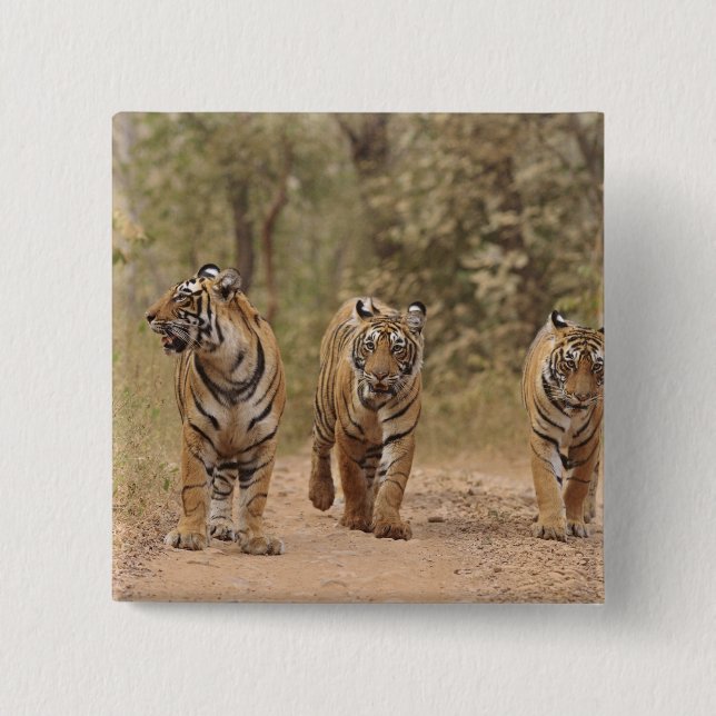 Royal Bengalisch Tigers on track, Ranthambhor Button (Vorderseite)