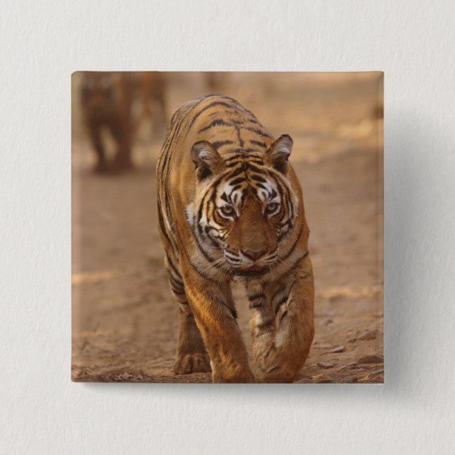 Royal Bengalisch Tigers on track, Ranthambhor Button (Vorderseite)