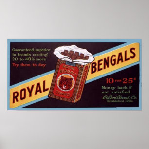 Royal Bengals Poster
