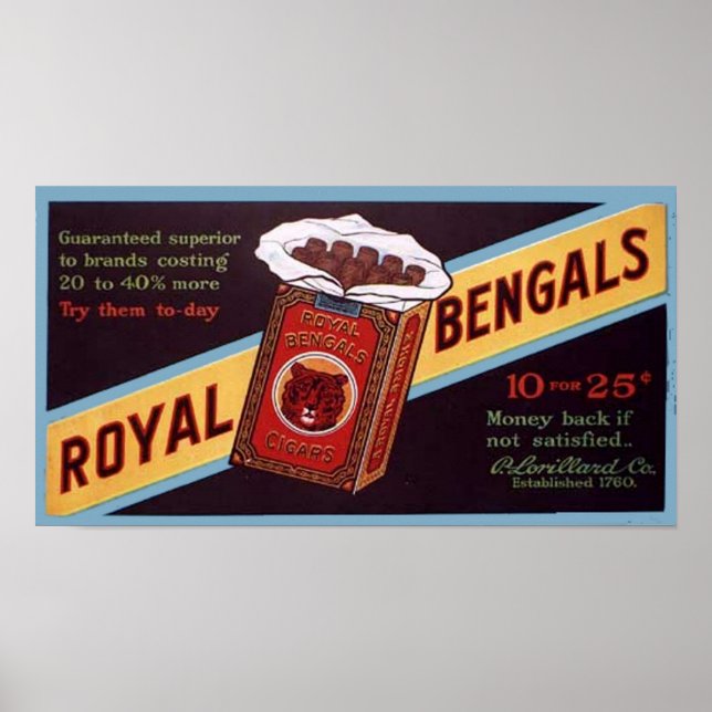 Royal Bengals Poster (Vorne)