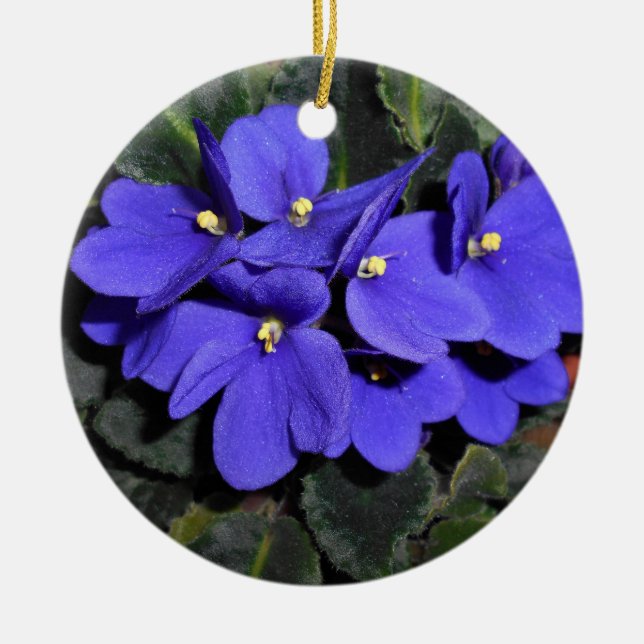 Royal Blue African Violet Keramik Ornament (Vorne)