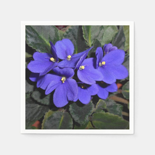 Royal Blue African Violet Serviette (Vorderseite)