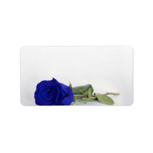 Royal Blue Rose Blank Wedding DIY Druckadresse Adressaufkleber