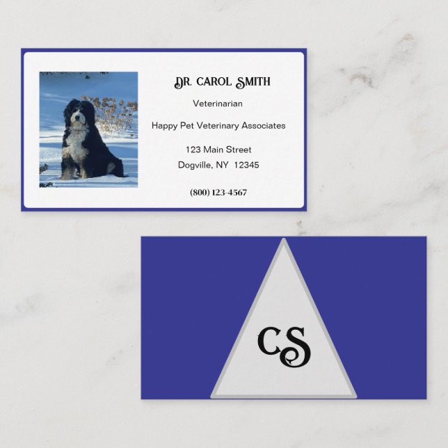 Royal Blue & White mit Logo oder FotoBusiness Card Visitenkarte (Vorne/Hinten)