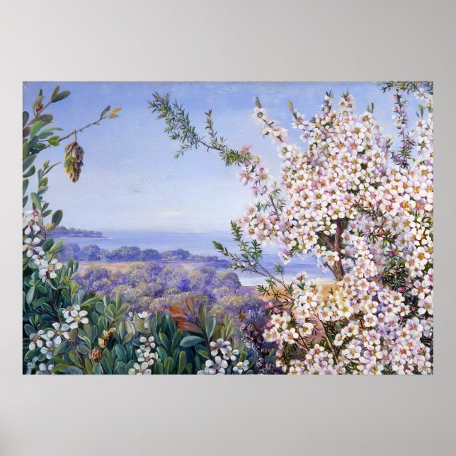 Royal Botanic von Marianne North Poster (Vorne)