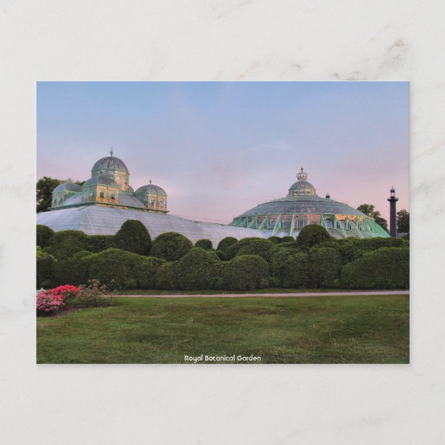 Royal Botanical Garden Postkarte (Vorderseite)