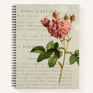 Royal Botanicals: Rosa Gallica Regalis-Notebook Notizbuch