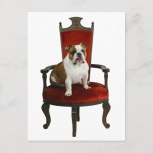 Royal Bulldog Postkarte