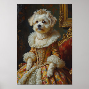 Royal Coton de Tulear Porträt Poster