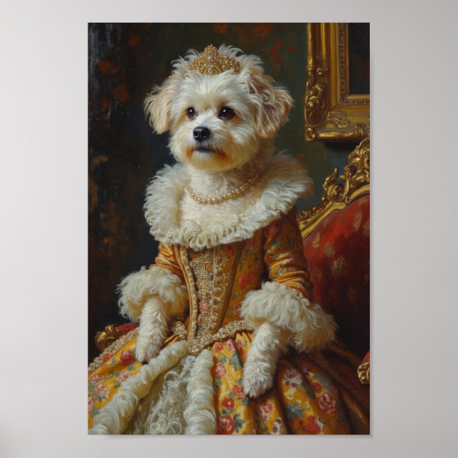 Royal Coton de Tulear Porträt Poster (Vorne)