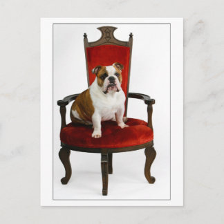 Royal English Bulldog Postkarte