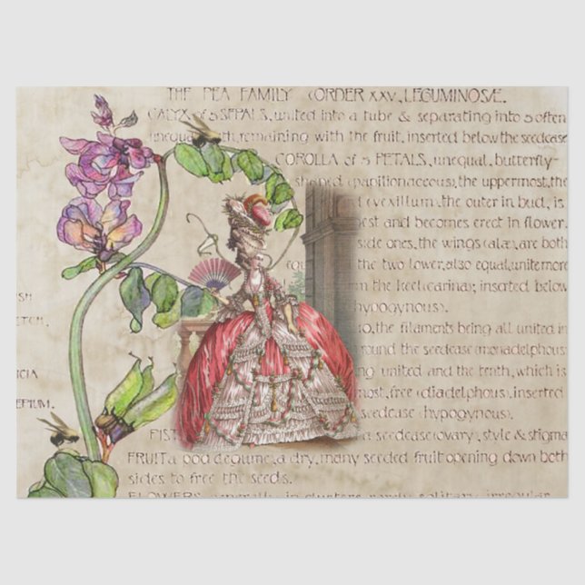 Royal Ephemera Seidenpapier (Vorderseite)