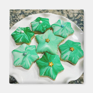 Royal glasierte grüne Weihnachtsstern-Magnet Magnet