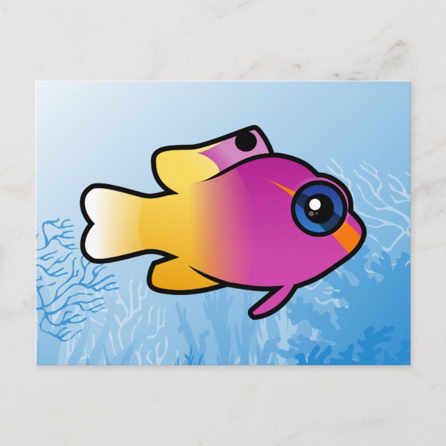 Royal Gramma Postkarte (Vorderseite)