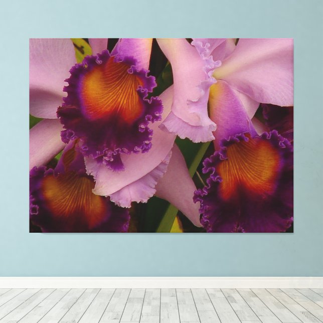 Royal Lila Cattleya Orchid Leinwanddruck (Insitu (Holzboden))