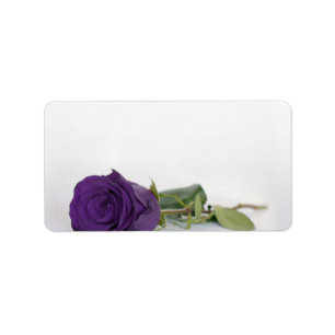 Royal Lila Rose Blank DIY Print Wedding Address Adressaufkleber
