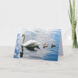 Royal Mute Swan und Cygnet Faltenkarte Karte