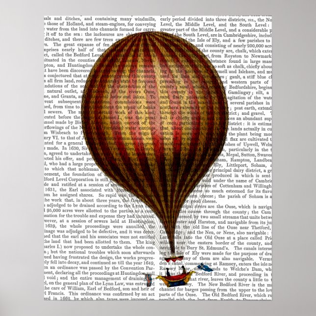 Royal Nassau Balloon Heißluftballon Poster (Vorne)