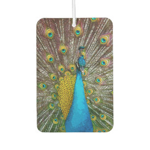 Royal Peacock mit Teal Gold und Blue Plumack Autolufterfrischer