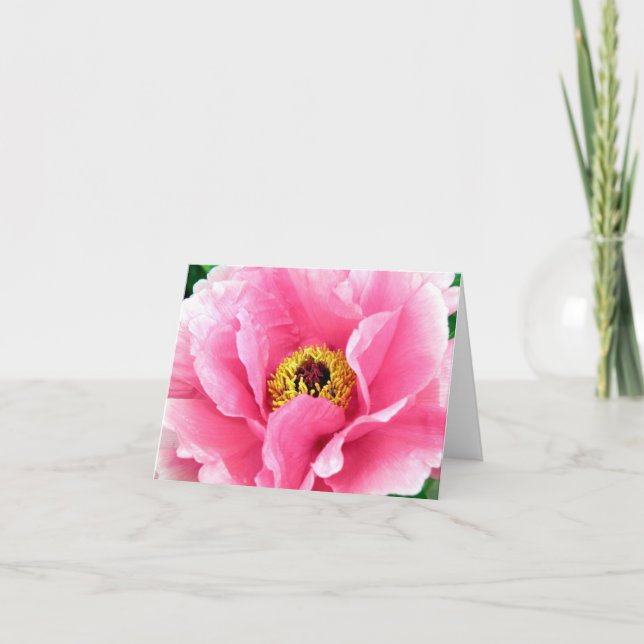Royal Peony Note Card Karte (Vorderseite)