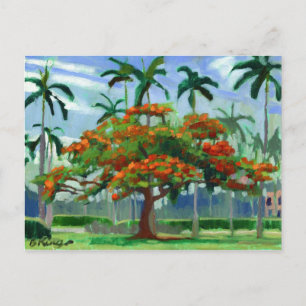 Royal Poinciana Postcard Postkarte