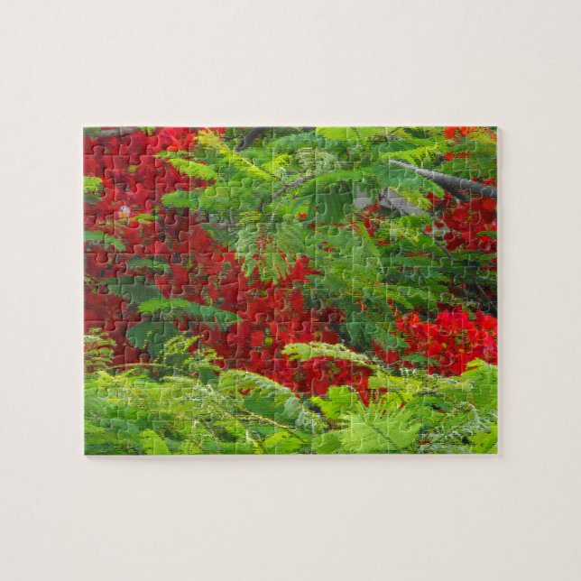Royal Poinciana Puzzle (Horizontal)