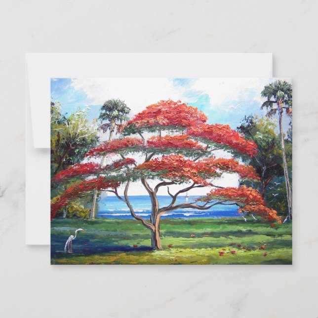 Royal Poinciana Tree Art (Vorderseite)