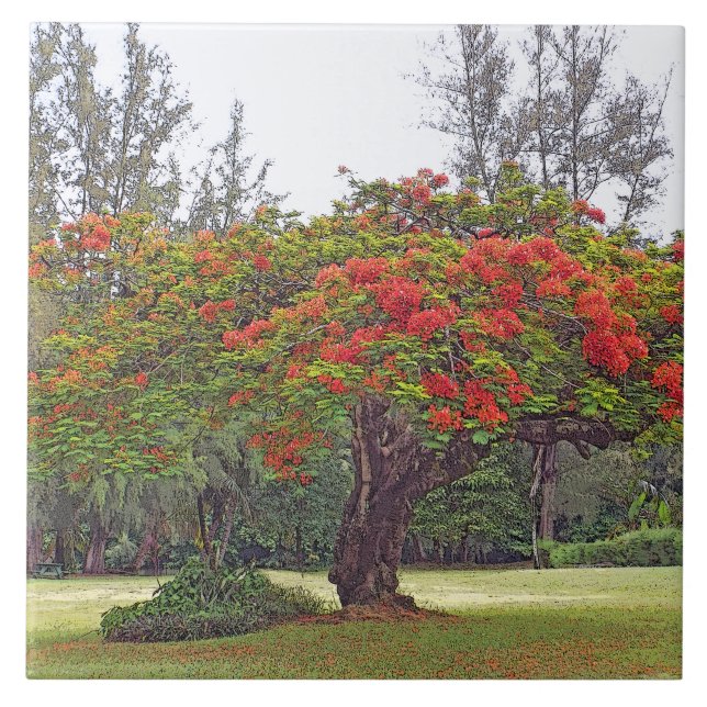 "ROYAL POINCIANA TREM"/KERAMIK TILE/TRIVET FLIESE (Vorderseite)