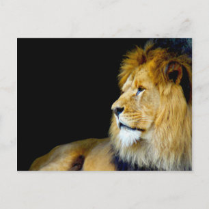 Royal Portrait Postkarte