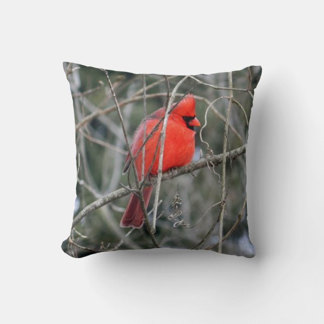 Royal Red Kardinal Pillow Kissen (Vorderseite)