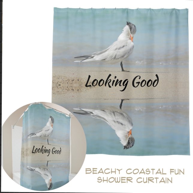 Royal Tern Coastable Customizable Fotografic Duschvorhang (Von Creator hochgeladen)